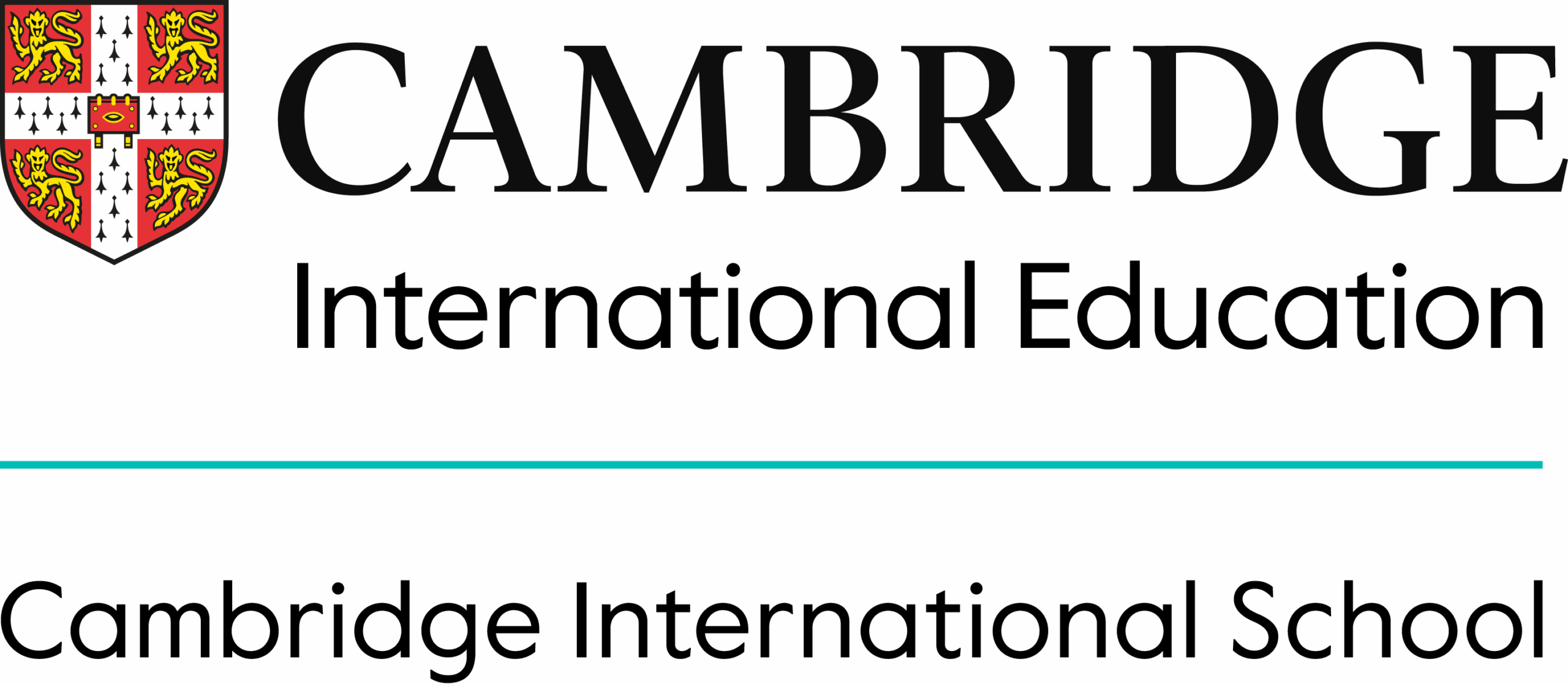 Cambridge International School